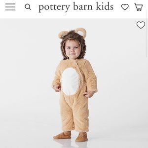 Pottery Barn Kids Lion Costume